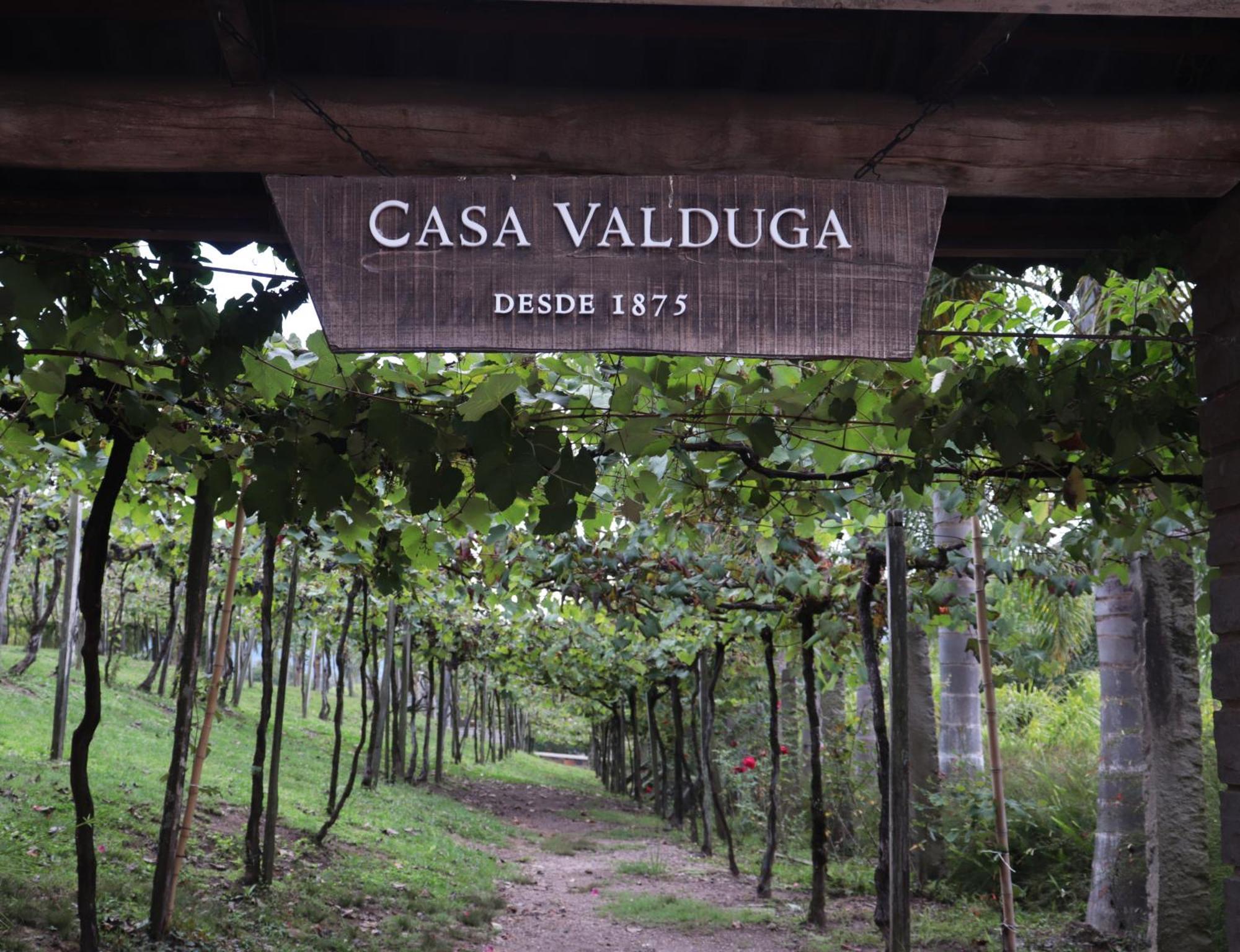 Casa Valduga Pousada Boutique Bento Gonçalves Εξωτερικό φωτογραφία